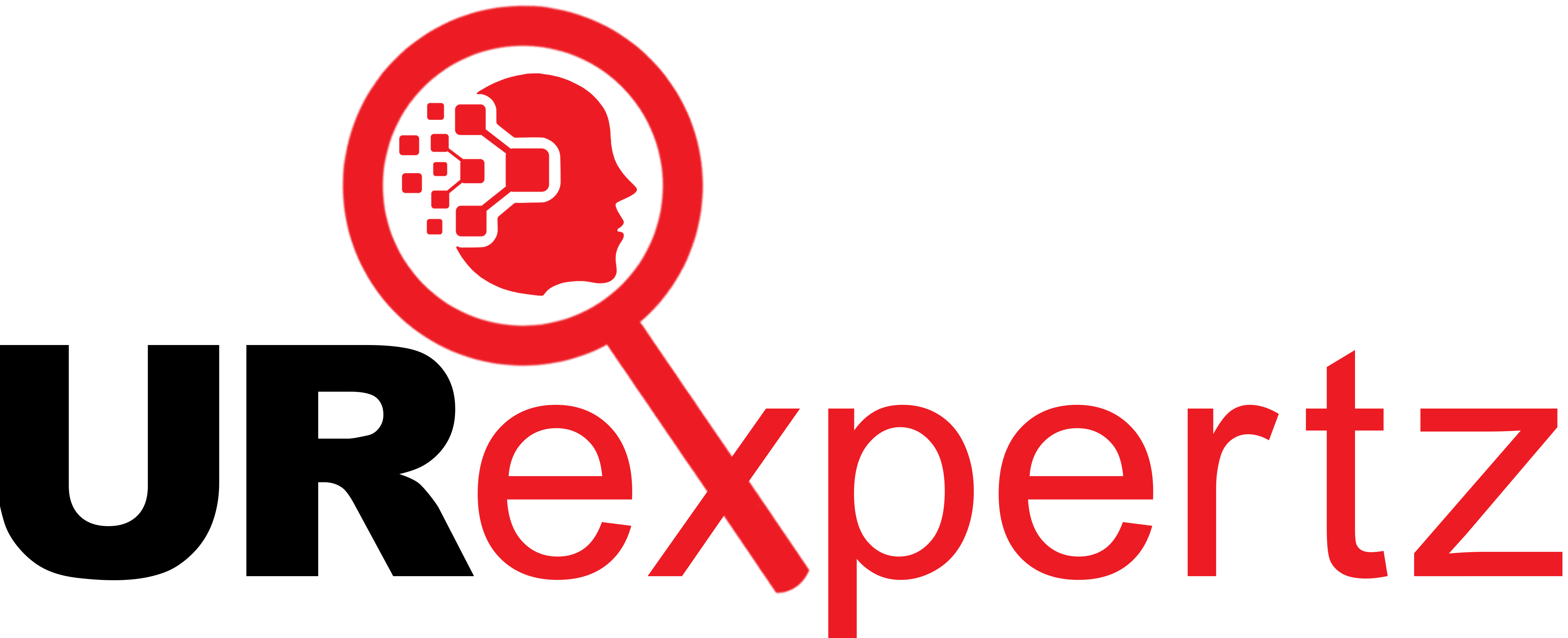 URExpertz Techno Consultancy Service